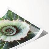 Extra large rolled print featuring line art of leaves in grayscale, ideal for large living room wall art.