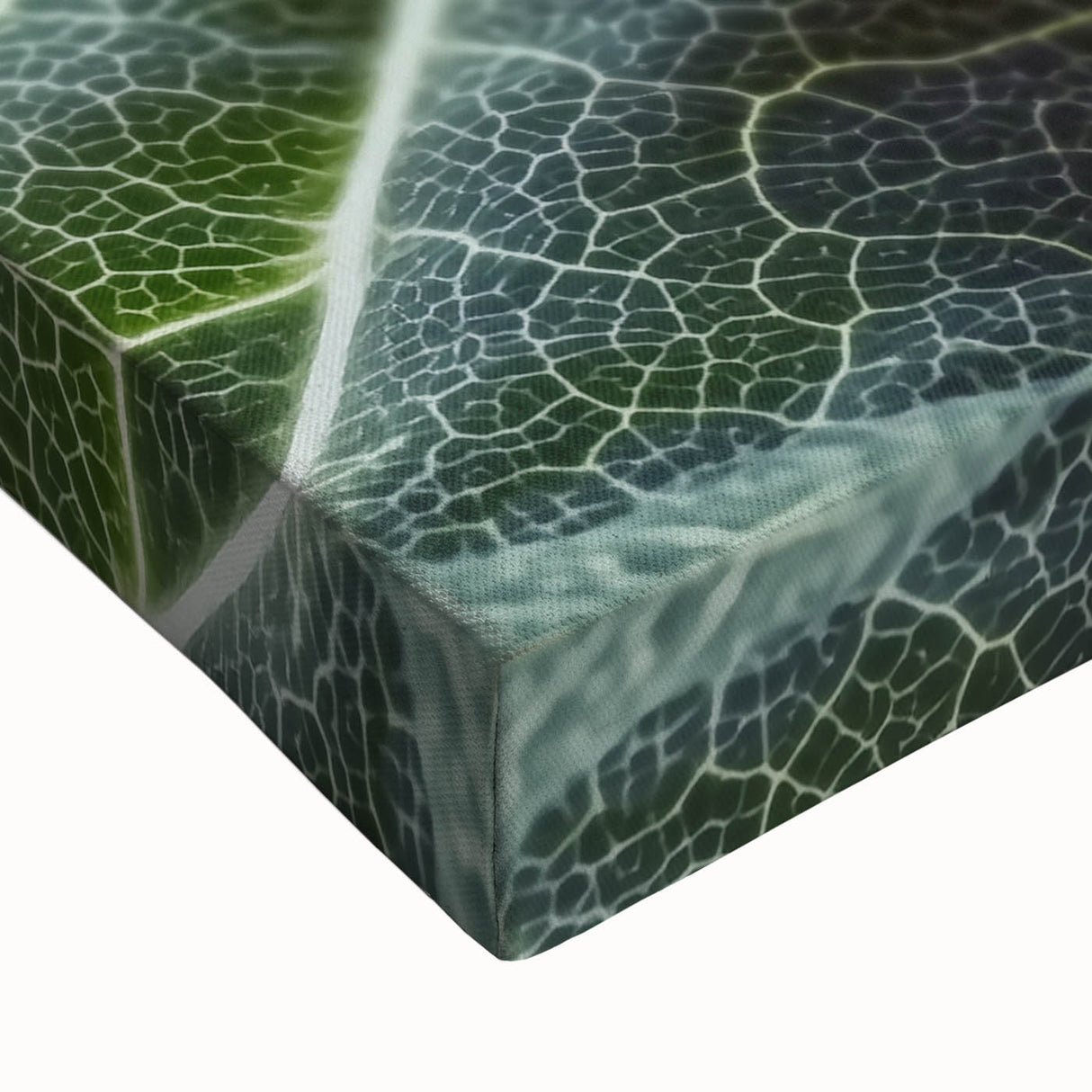 Black and white close-up photo of leaves on a stretched canvas, suitable for bedroom wall art.