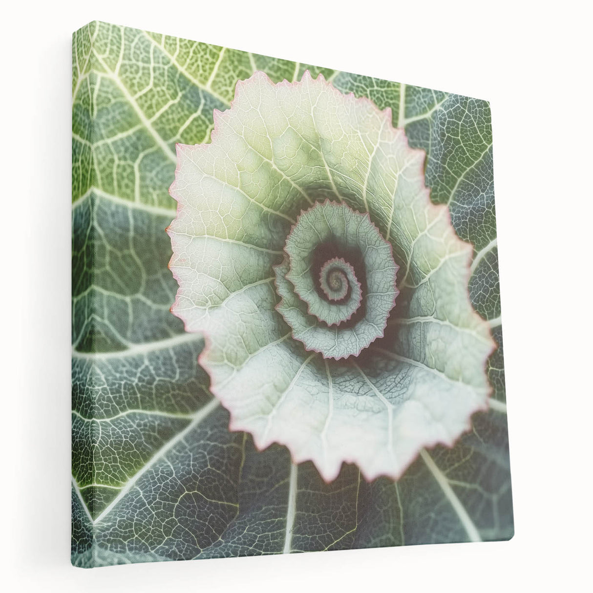 Close-up of green leaves on a large stretched canvas, suitable for kitchen wall art.