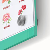 Flowers Chart - Kids Educational Wall Art Botanical Learning Print