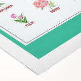 Flowers Chart - Kids Educational Wall Art Botanical Learning Print