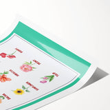 Flowers Chart - Kids Educational Wall Art Botanical Learning Print