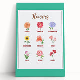 Flowers Chart - Kids Educational Wall Art Botanical Learning Print