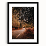 Extra large abstract art print featuring textured fall motifs in vibrant orange and brown hues, framed in black.