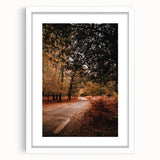 Abstract art print depicting autumnal trees in orange and red hues, framed in white, ideal for dining room decor.