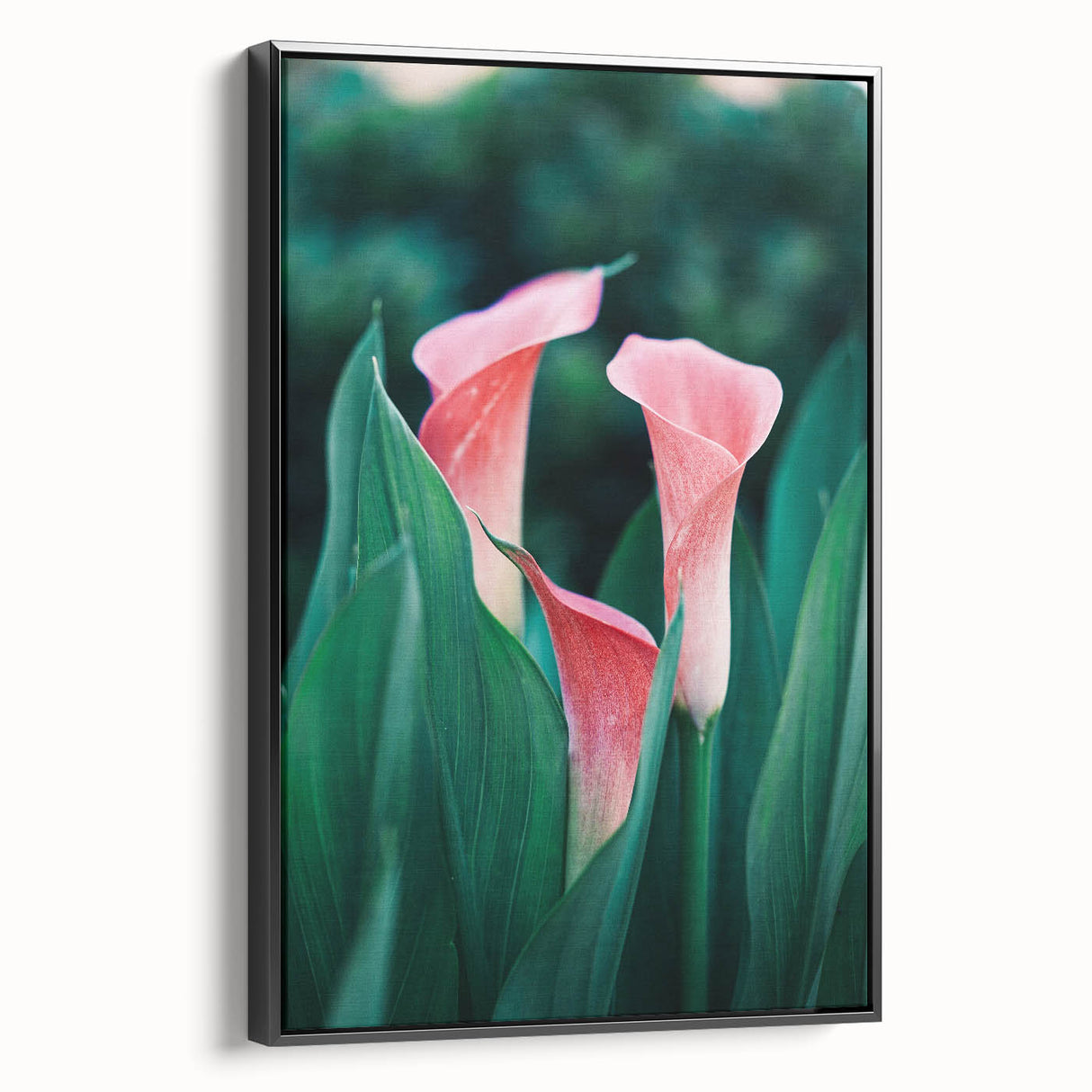 Black and white framed canvas depicting a vintage landscape scene, ideal for bedroom wall decor.