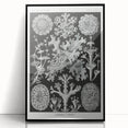 Modern Wall Art - Intricate Black-and-White Botanical Lichen Design