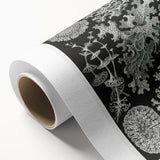 Modern Wall Art - Intricate Black-and-White Botanical Lichen Design