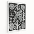 Modern Wall Art - Intricate Black-and-White Botanical Lichen Design