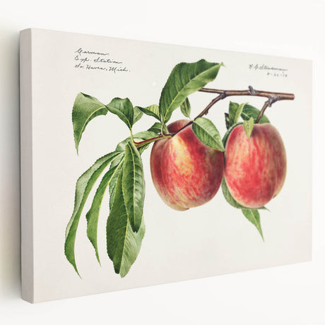 Large canvas print of assorted fruits in vibrant colors, suited for kitchen wall art.