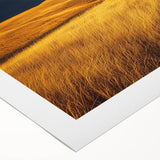 Vibrant rolled canvas artwork showcasing a serene countryside landscape, featuring lush green fields and a clear blue sky, perfect for home decor.