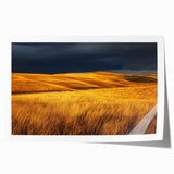 Scenic rolled canvas print showcasing a vibrant countryside landscape, featuring lush green fields, rolling hills, and a clear blue sky, perfect for home decor.