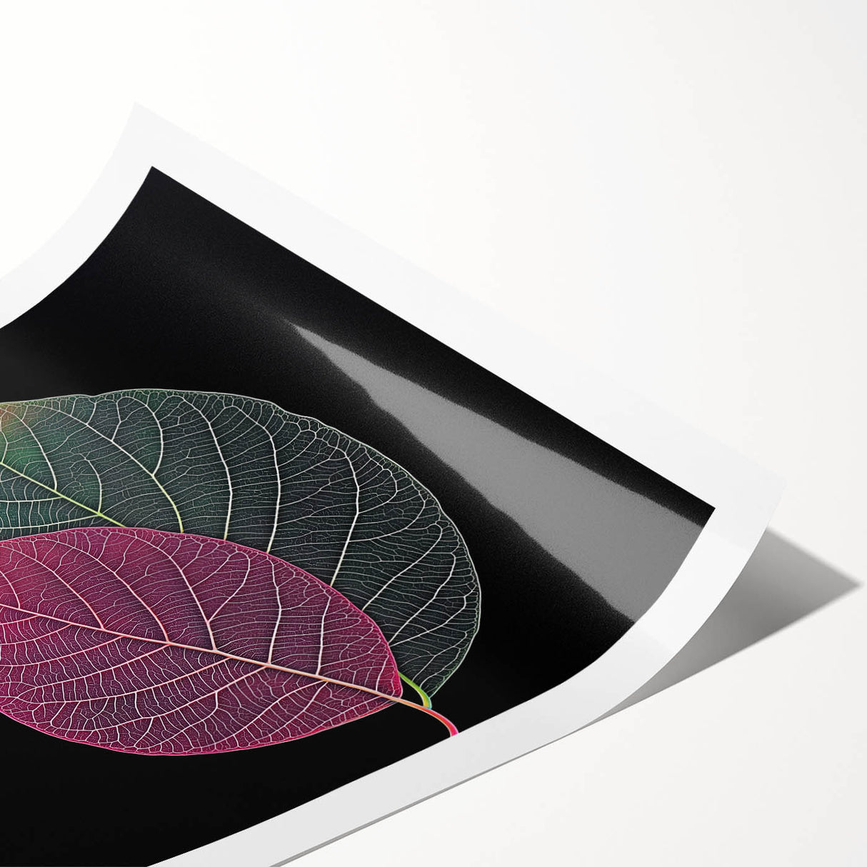 Extra large wall art featuring close-up line art of leaves in muted green tones on a rolled print.