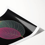 Extra large wall art featuring close-up line art of leaves in muted green tones on a rolled print.