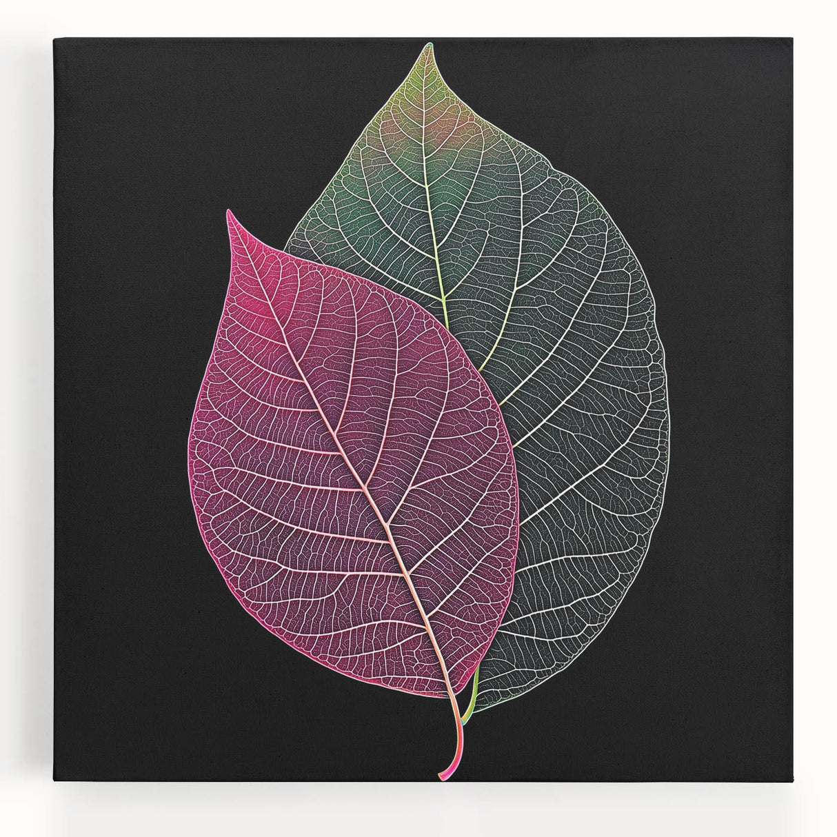Close-up of leaves in black and white on a large stretched canvas, ideal for kitchen wall art.