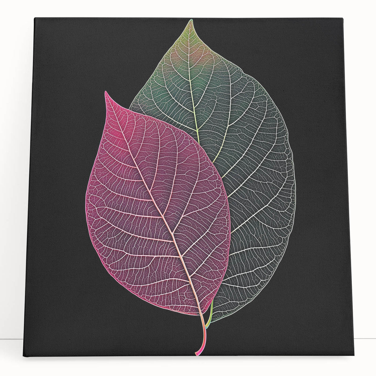 Close-up of leaves in black and white on a large stretched canvas, ideal for kitchen wall art.