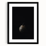 Extra large abstract art print featuring vibrant autumn colors on textured canvas, framed in black.