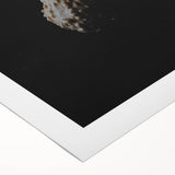 Art deco poster of a fall scene with warm orange and brown tones on rolled canvas, suitable for dining room decor.