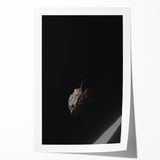 Extra large rolled print featuring a fall-themed floral design in muted earth tones, ideal for dining room wall art.