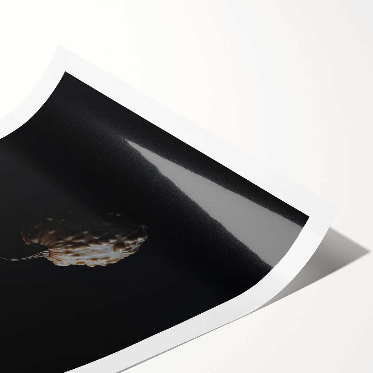 Extra large wall art featuring line art flowers in muted autumnal tones on a rolled print.