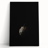 Black and white abstract tree design on large stretched canvas, suitable as kitchen wall art or for bedroom ambiance.