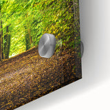 Large abstract wall art on acrylic glass featuring mid-century modernist spring motifs in pastel shades.