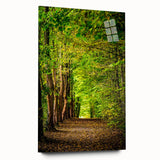 Large abstract wall art on acrylic glass depicting vibrant spring themes in soft pastel colors.