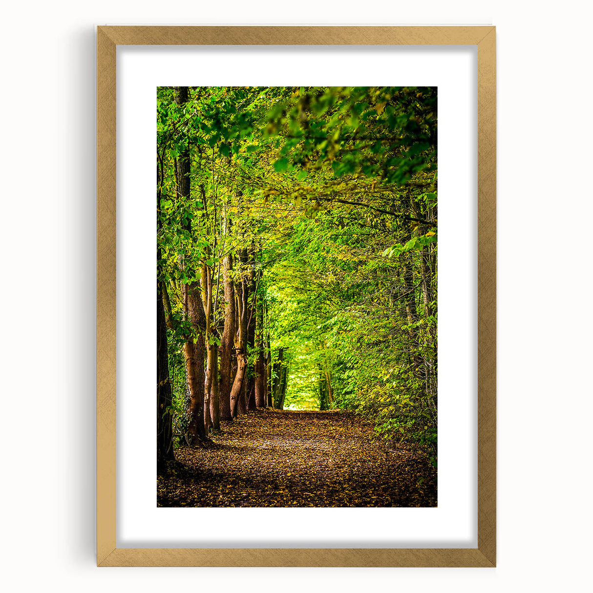 Extra large, textured abstract art print in vibrant spring hues on a gold-framed canvas, suitable for living room decor.