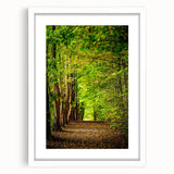 Abstract art print depicting spring, with soft green and pink hues on a white framed canvas.