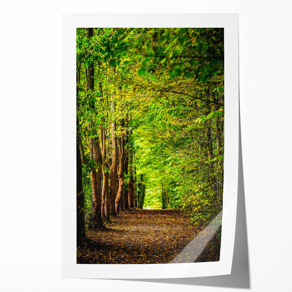 Extra large rolled print depicting vibrant spring floral art, ideal for art wall dining room or classy bathroom decor.