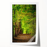 Extra large rolled print depicting vibrant spring floral art, ideal for art wall dining room or classy bathroom decor.