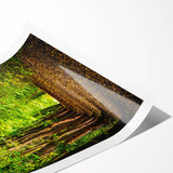 Extra large wall art featuring line art flowers in pastel hues on a rolled canvas, ideal for large living room decor.