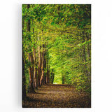 Large black and white stretched canvas depicting abstract spring-themed design, ideal for kitchen wall art.