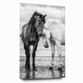 Acrylic wall art display featuring 50 intricately designed animal silhouettes in vibrant colors, set against a clear glass backdrop with decorative pins, ideal for modern decor.