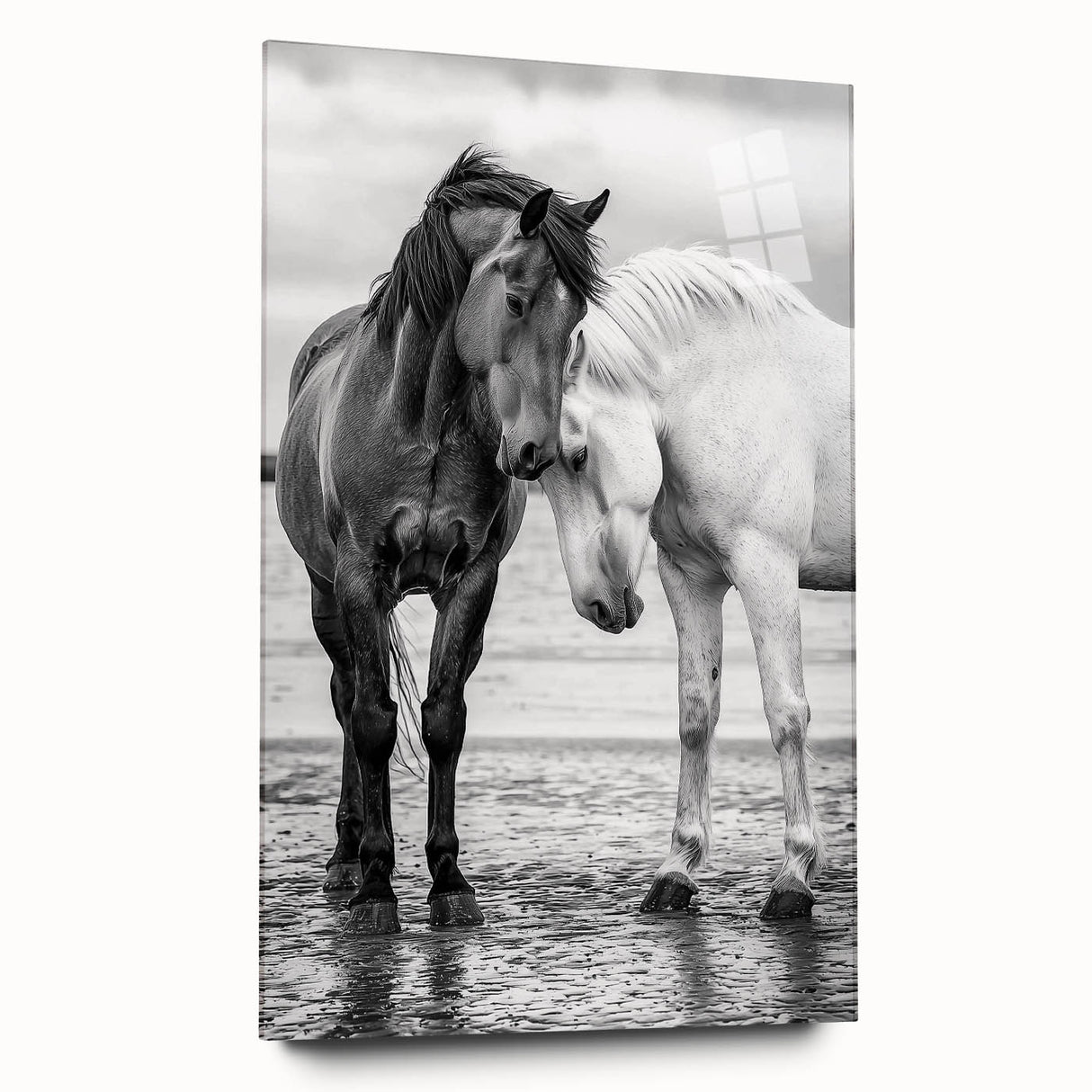 Acrylic glass display showcasing a vibrant design of 50 stylized animals, featuring bright colors and intricate details, ideal for modern home decor or art lovers.