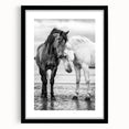 Framed black wall art display featuring a collection of 50 stylized animal illustrations, ideal for enhancing home decor with a contemporary touch.