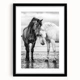 Framed black wall art display featuring a collection of 50 stylized animal illustrations, ideal for enhancing home decor with a contemporary touch.