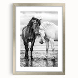 Framed artwork featuring a silver mat and detailed illustrations of 50 different animals, showcasing vibrant colors and intricate designs, perfect for animal lovers and home decor.