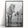 Framed acrylic wall art featuring a vibrant design of 50 illustrated animals, presented in a sleek black frame, ideal for modern home decor and wildlife enthusiasts.