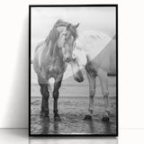 Framed acrylic wall art featuring a vibrant design of 50 illustrated animals, presented in a sleek black frame, ideal for modern home decor and wildlife enthusiasts.