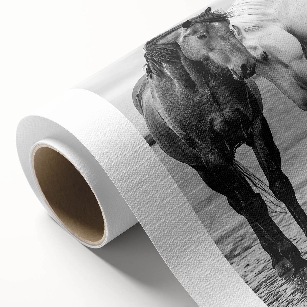 Rolled canvas showcasing a vibrant design of 50 animals in a colorful, artistic style, featuring intricate details, perfect for enhancing home decor.