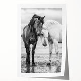 Rolled canvas print showcasing a vibrant design of 50 colorful animal illustrations, packaged securely in a cardboard tube, perfect for home decor enthusiasts.