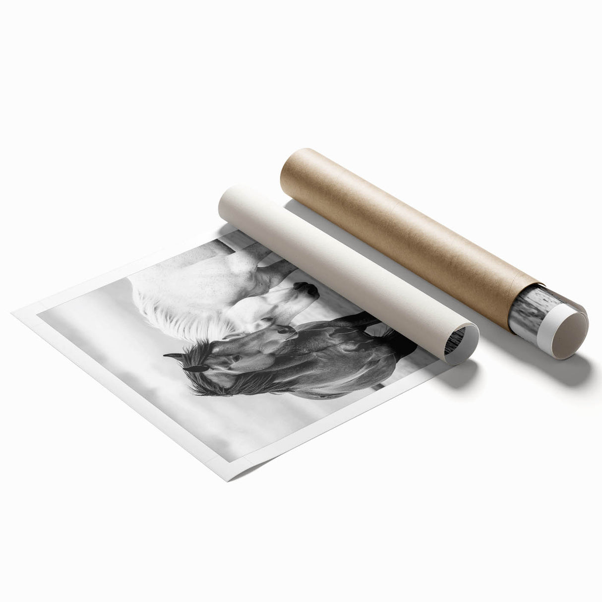 Rolled print showcasing a colorful design of 50 stylized animals, featuring intricate details and vibrant colors, packaged securely in a cardboard tube for easy shipping and display.