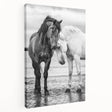 Stretched canvas artwork showcasing a vibrant collection of 50 animal designs in a side view, ideal for adding a colorful touch to home decor and wildlife enthusiasts' spaces. The canvas features intricate details and a rich color palette, enhancing any room's aesthetic appeal.
