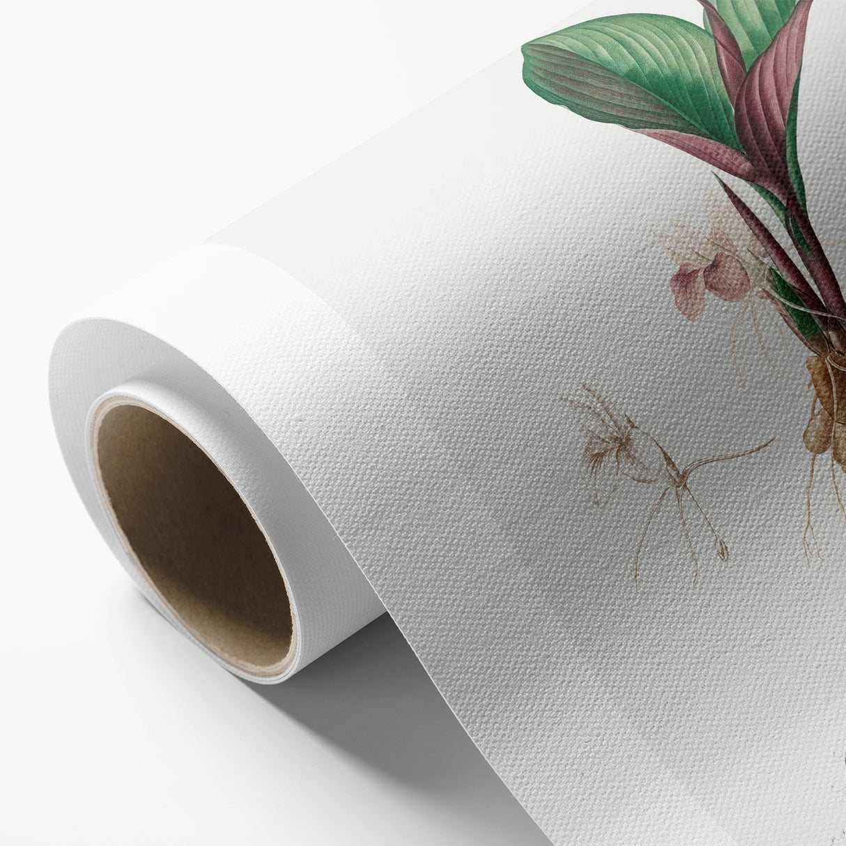 Neoclassical Botanical Print: Kaempferia Longa by Redouté - Elegant Decor