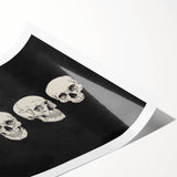 Halloween Canvas Art - Vintage Skull Expressions Print