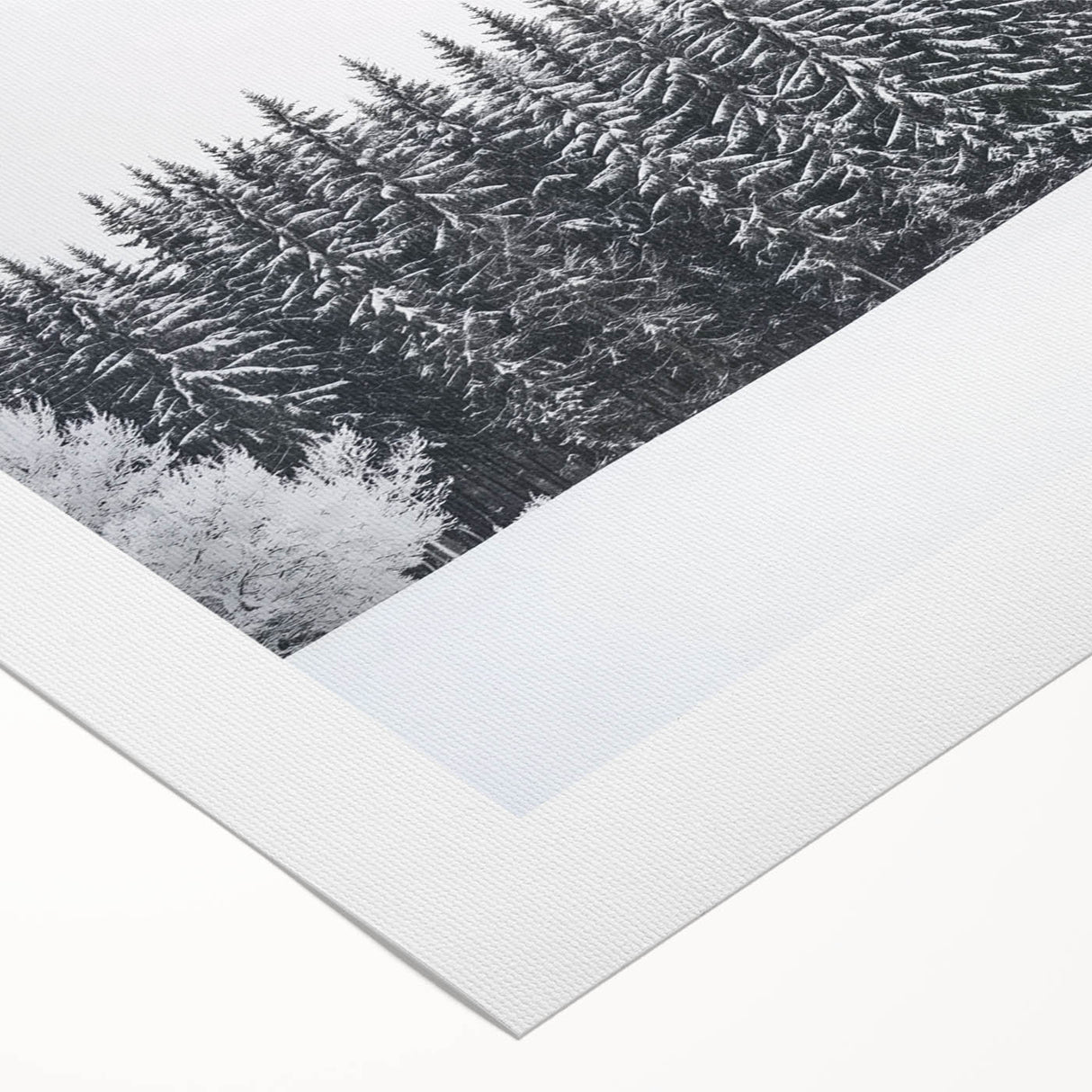 Landscape barn design printed on rolled canvas, showcasing vibrant colors and detailed textures, securely packaged in a protective cardboard tube for art lovers.