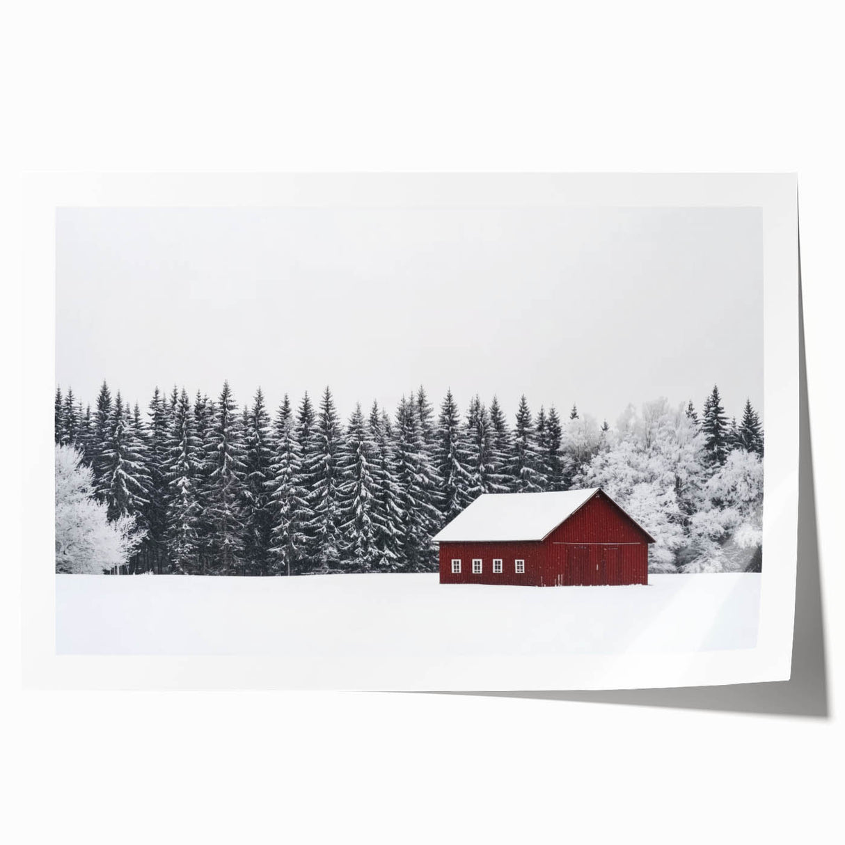 Rolled landscape print of a barn surrounded by lush greenery, featuring rich colors and intricate details, packaged securely in a protective cardboard tube.