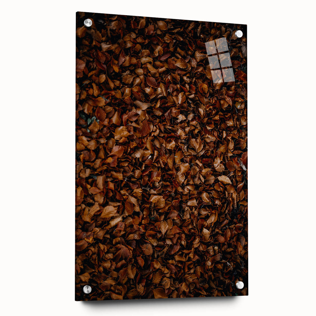 Large abstract wall art depicting autumnal trees in orange and red, printed on acrylic glass.
