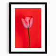Extra large abstract art print featuring vibrant spring colors on textured canvas, framed in black.